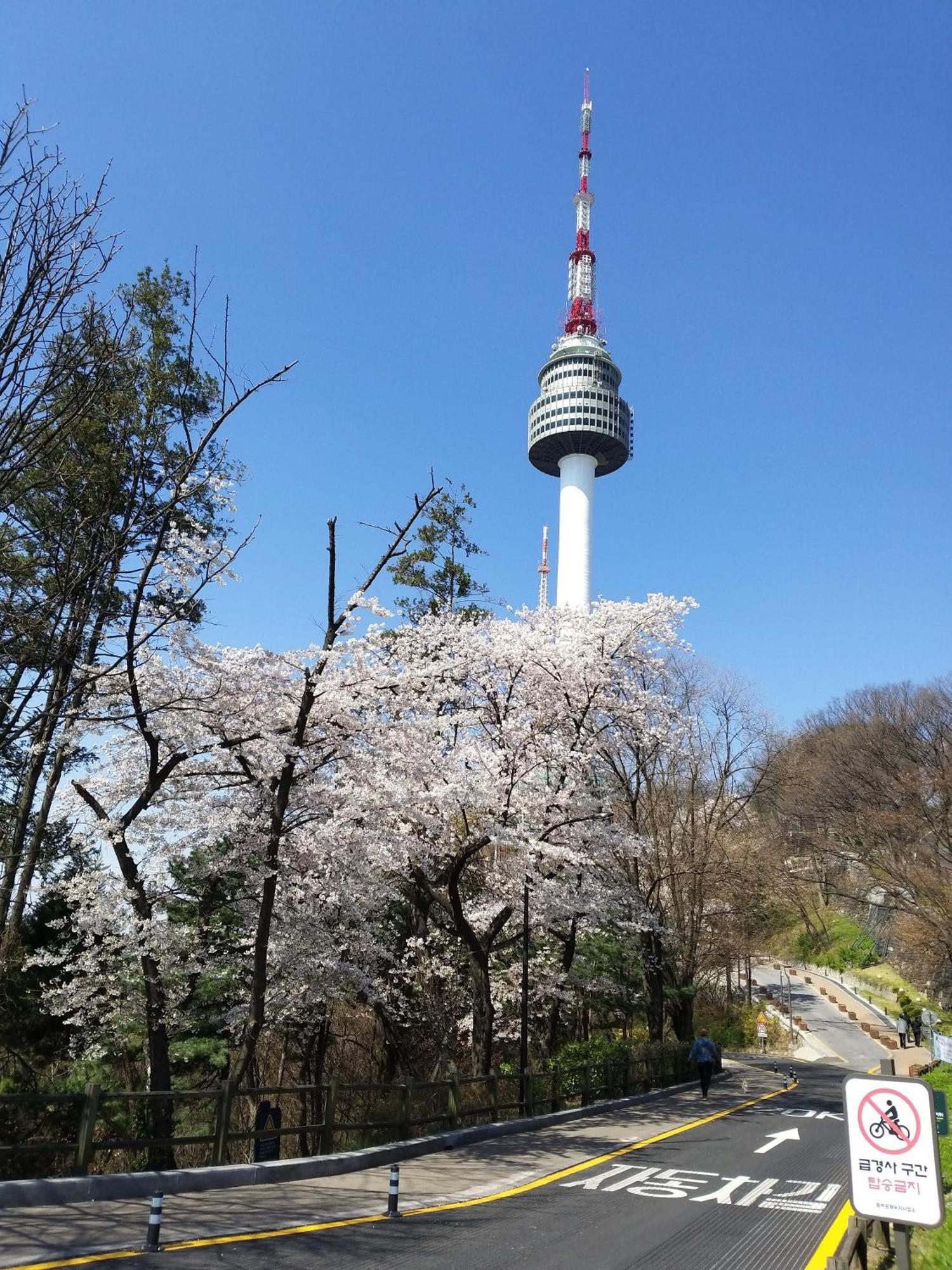 Newly Renovated 2 Bedroom Apartment #7 서울특별시 외부 사진