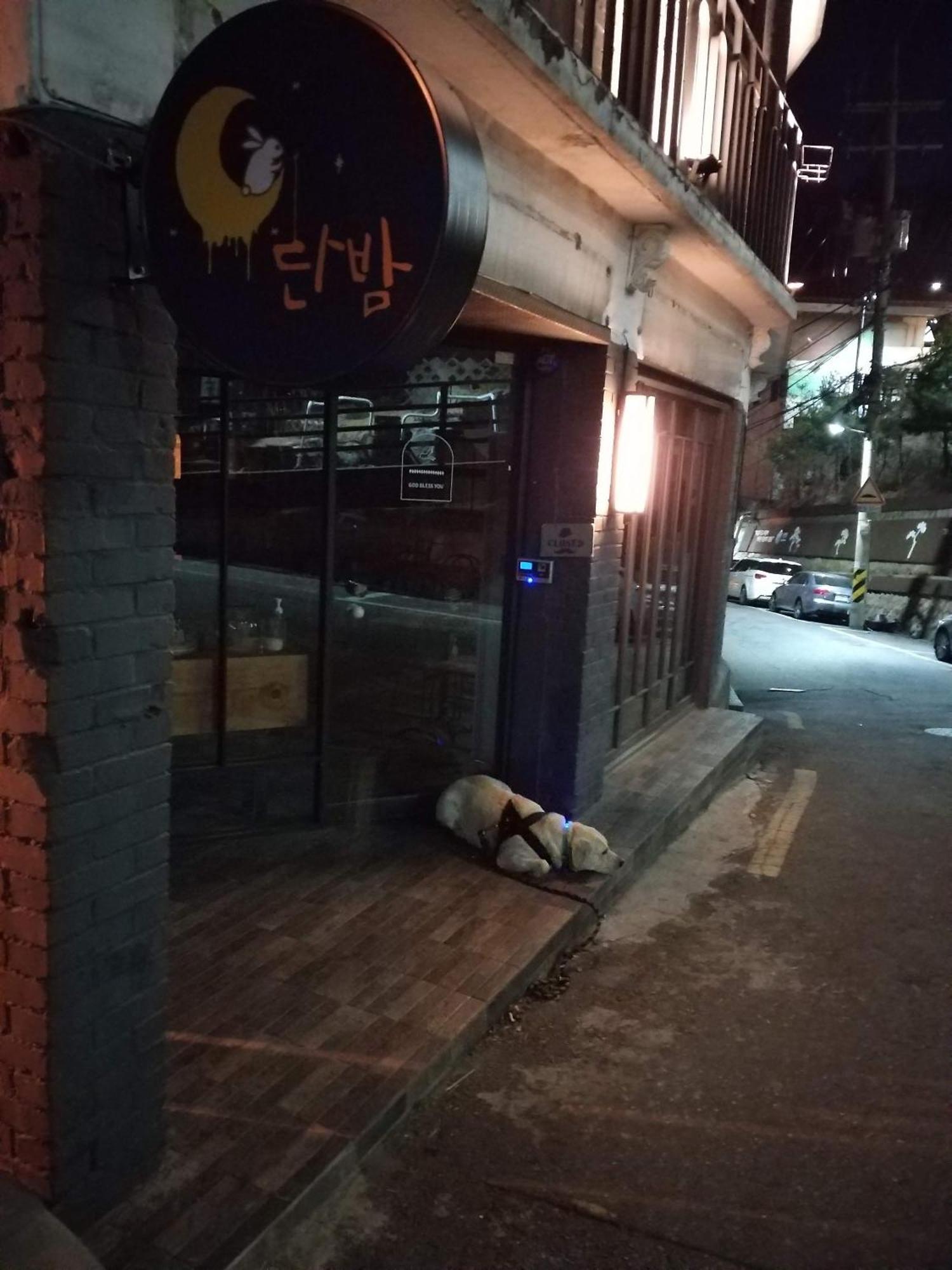 Newly Renovated 2 Bedroom Apartment #7 서울특별시 외부 사진