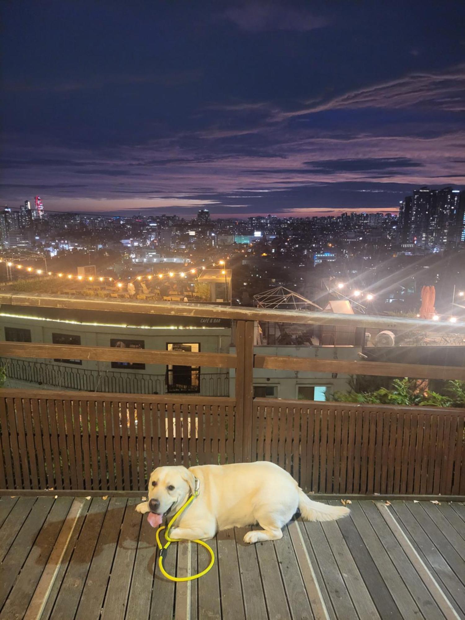 Newly Renovated 2 Bedroom Apartment #7 서울특별시 외부 사진