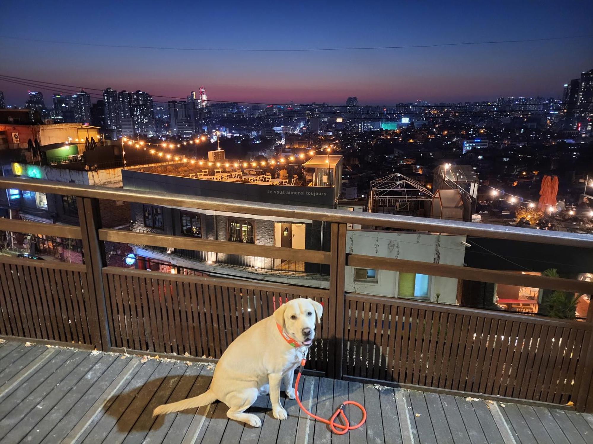 Newly Renovated 2 Bedroom Apartment #7 서울특별시 외부 사진