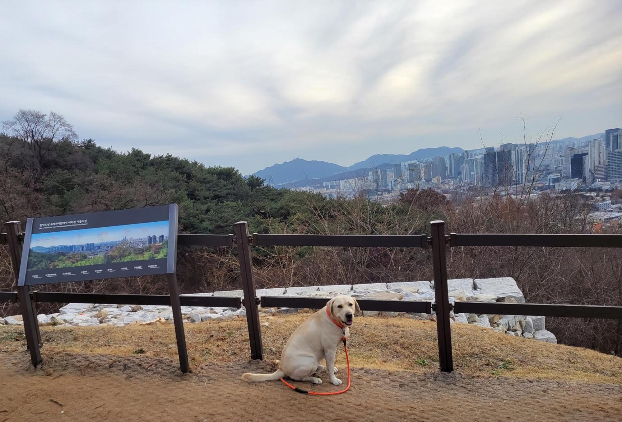Newly Renovated 2 Bedroom Apartment #7 서울특별시 외부 사진