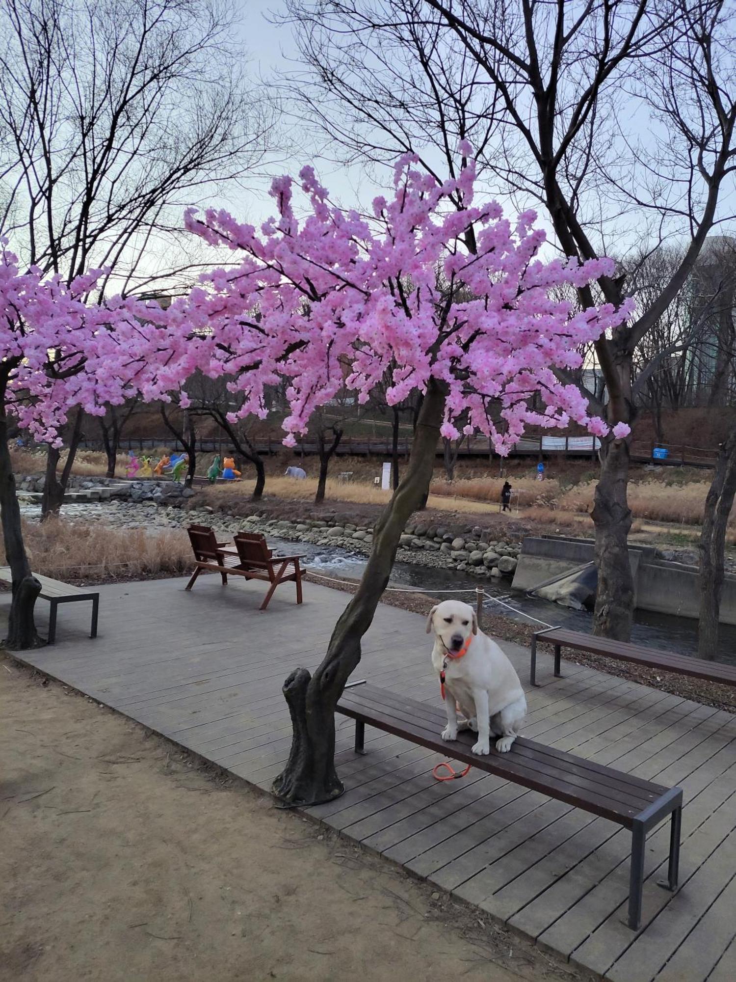 Newly Renovated 2 Bedroom Apartment #7 서울특별시 외부 사진