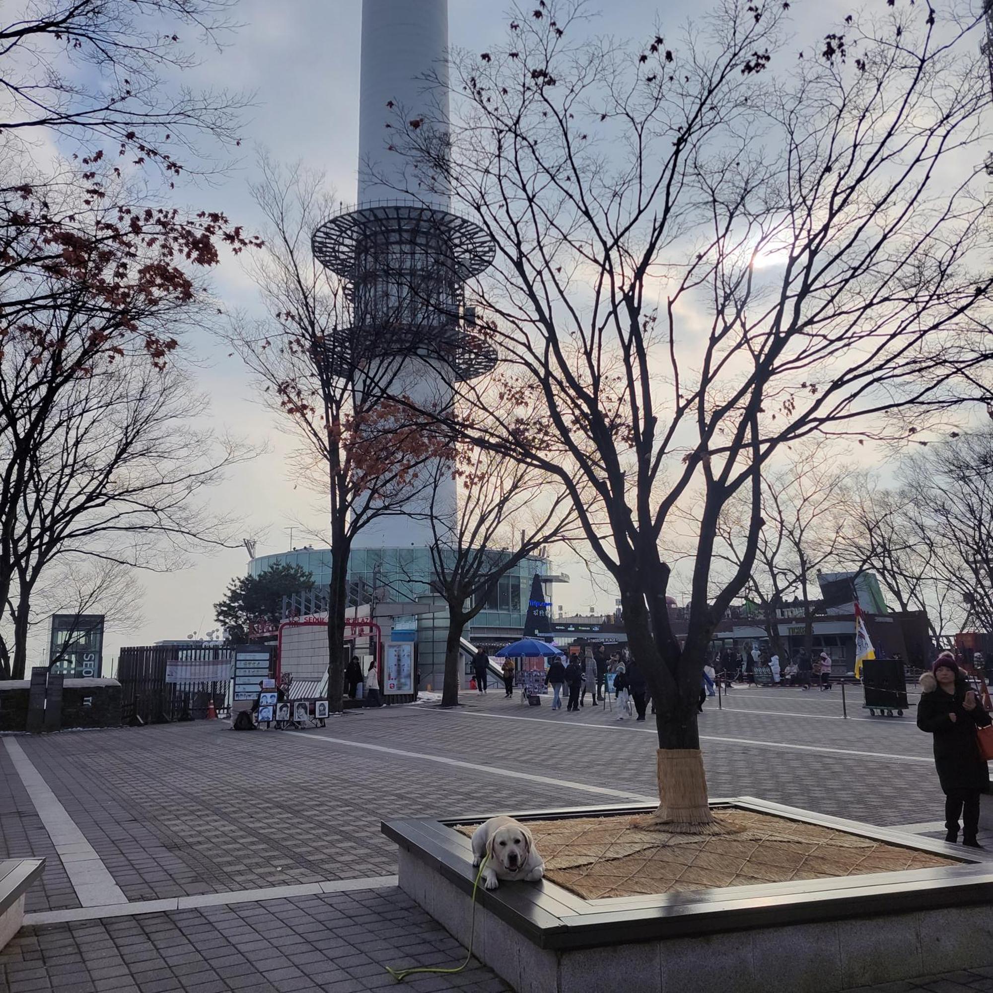 Newly Renovated 2 Bedroom Apartment #7 서울특별시 외부 사진